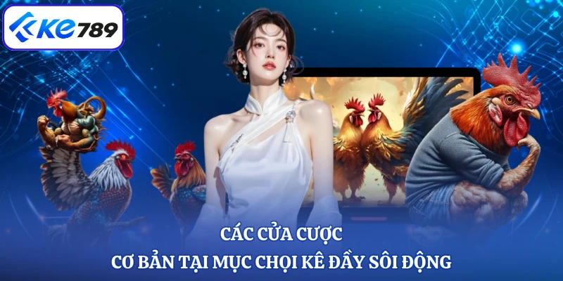 Các cửa cược cơ bản tại mục chọi kê đầy sôi động