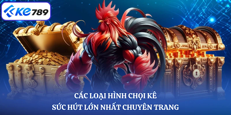 Các loại hình chọi kê sức hút lớn nhất chuyên trang