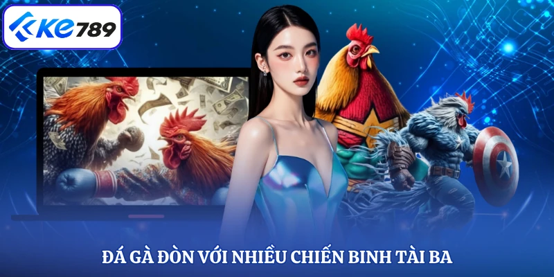 Đá gà đòn với nhiều chiến binh tài ba