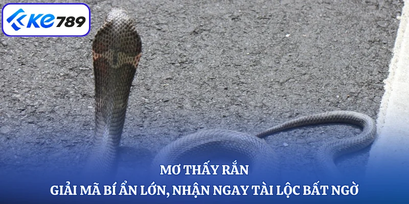 Mơ Thấy Rắn - Giải Mã Bí Ẩn Lớn, Nhận Ngay Tài Lộc Bất Ngờ